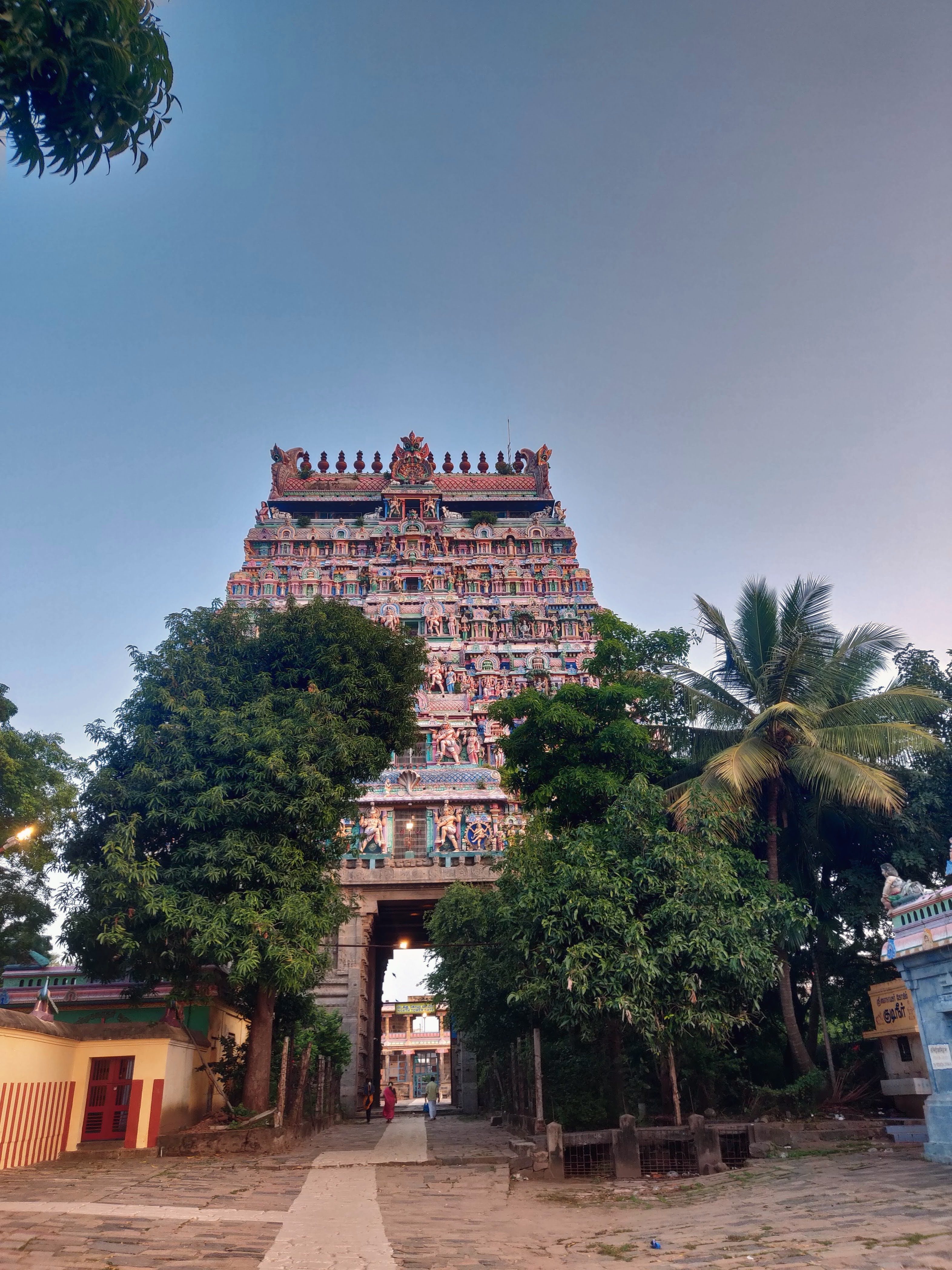 Chidambaram, the Thillai Natarajar Temple